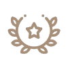 Excellence icon